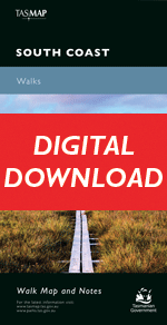 Digital South Coast Walks