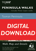 Digital Peninsula Walks